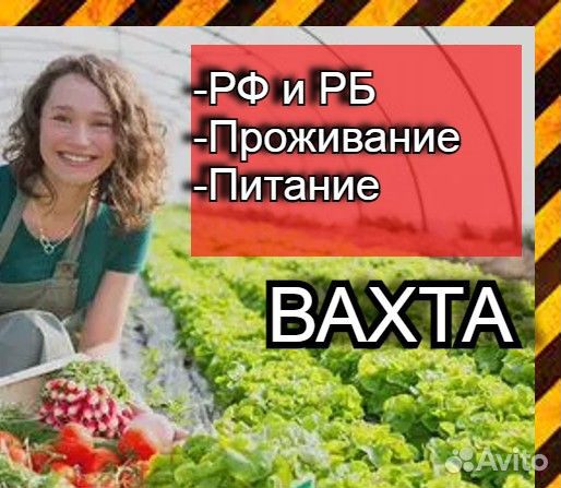 Работа / Вахта / Сортировщик / Вакансии / Белгород