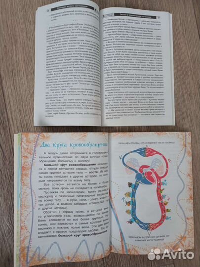 Анатомическая модель, детские книги об анатомии