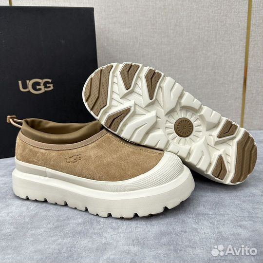 Слипоны ugg мужские