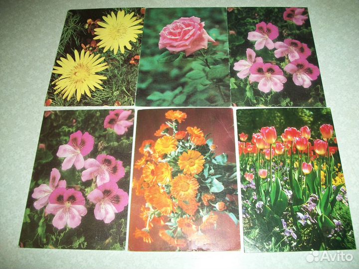 Открытки СССР 8 марта Цветы Поздравляю