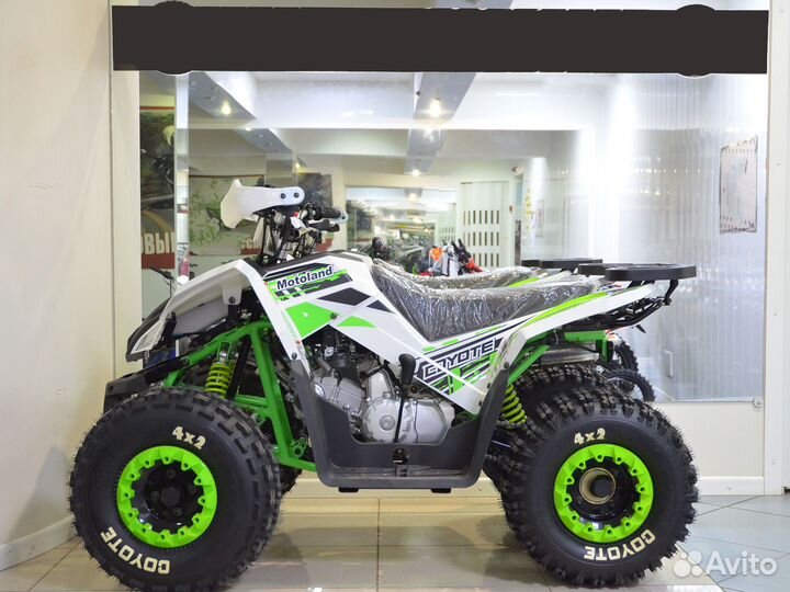 Квадроцикл Motoland Coyote 125 зеленый