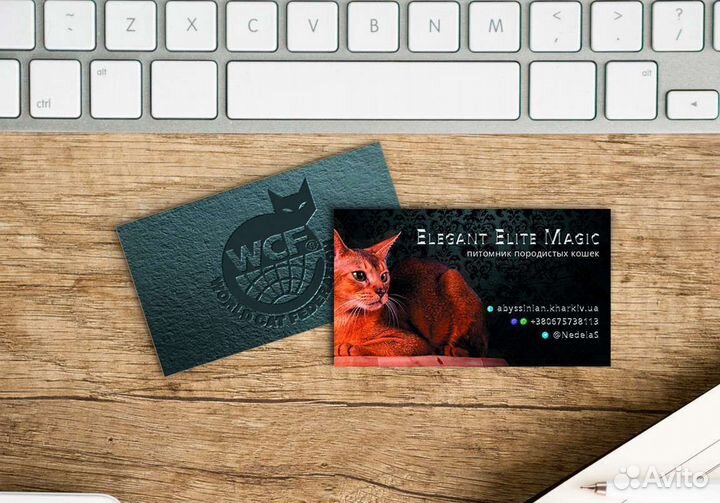 Дизайн визиток