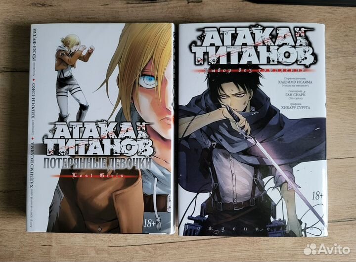 Атака титанов Выбор без сожалений Потерянные