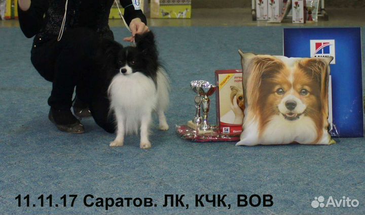 Вязка