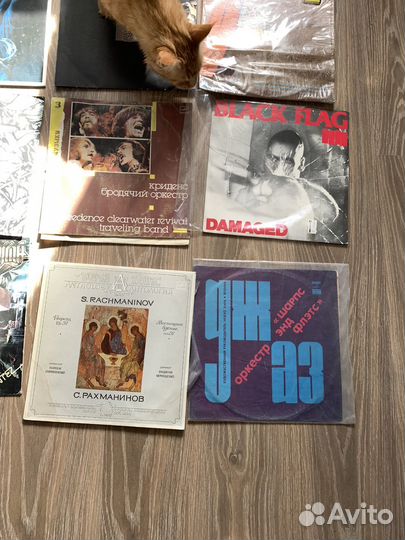 Виниловые пластинки