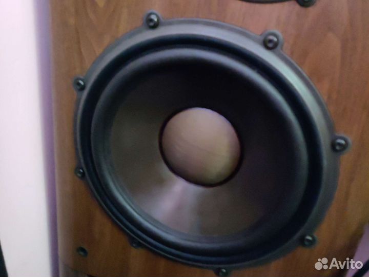 Напольная акустика Diatone DS-700 Z