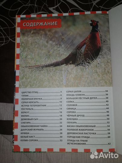 Энциклопедия для детей