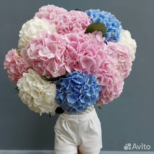 Красивые Букеты из Гортензий. Свежие Цветы