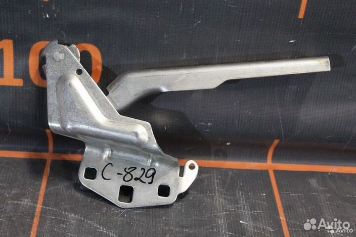 Петля капота правая - Volkswagen Passat CC