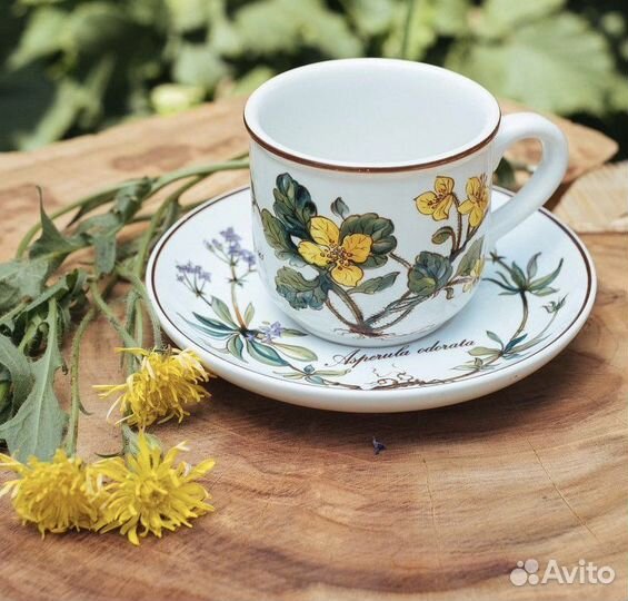 Кофейный набор чашка и блюдце, Ботаника, Виллерой