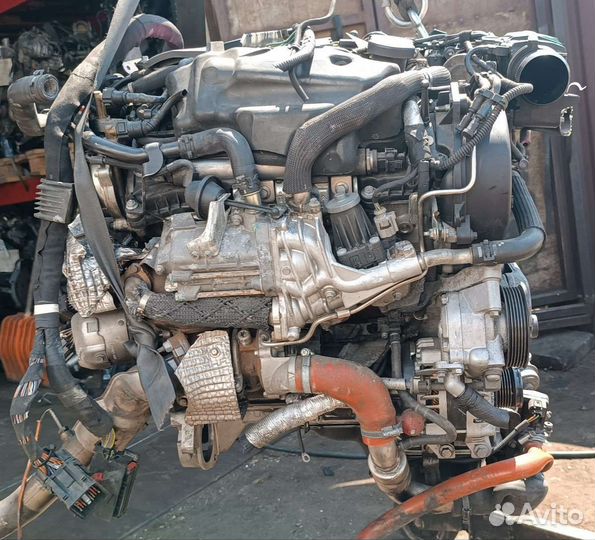 Двигатель Jaguar XF 250 (2007 - 2016) 3.0 306DT