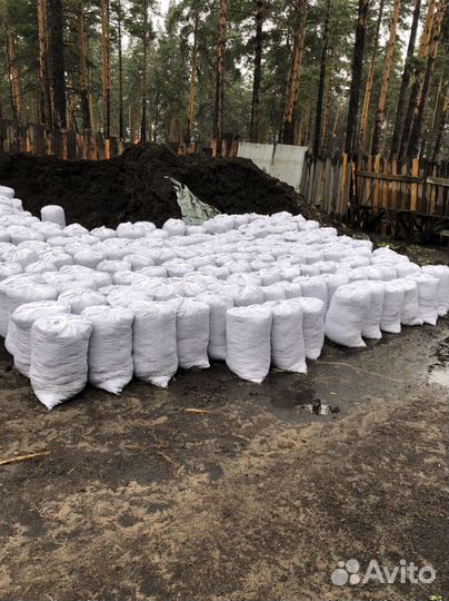 Перегной (земля) чернозем