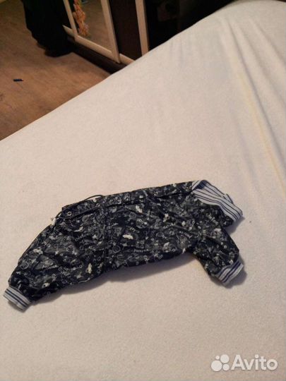 Вещи для не больших собак