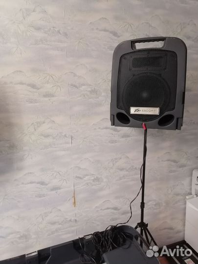 Escort 3000 portable audio system