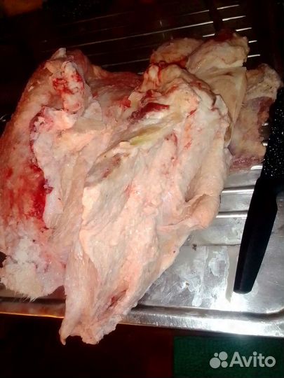 Корм для животных, корм для собак