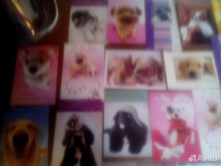 Открытки собаки