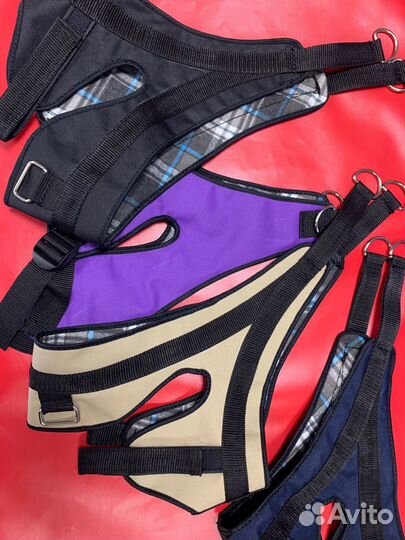 Петля Глиссона