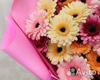 Букет из 25 мини гербер микс в стильной упаковке