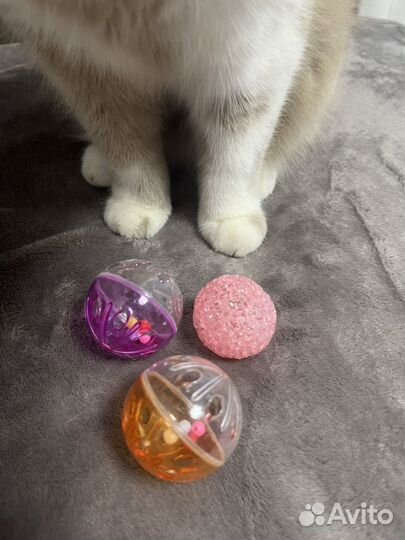Набор игрушек для кошек
