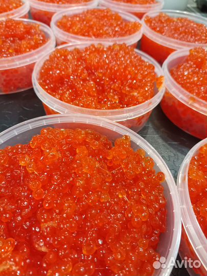 Красная икра кеты