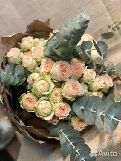 Розы пионовидные 11 15 25 51 Доставка