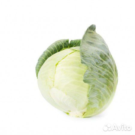 Семена Капусты 