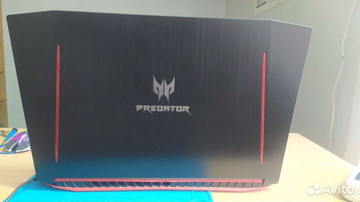 Acer predator
