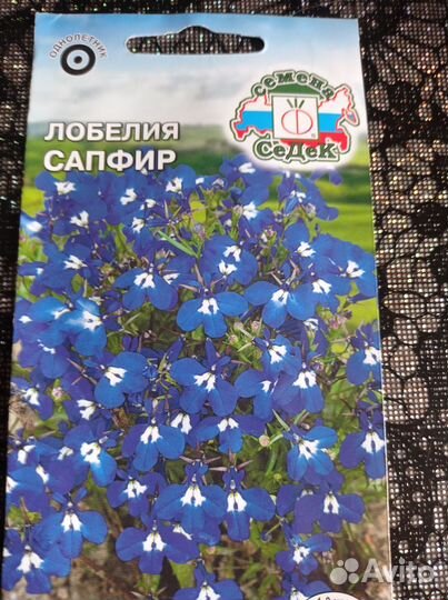 Цветы однолетнии