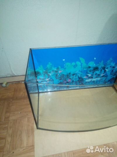 Аквариум 60л
