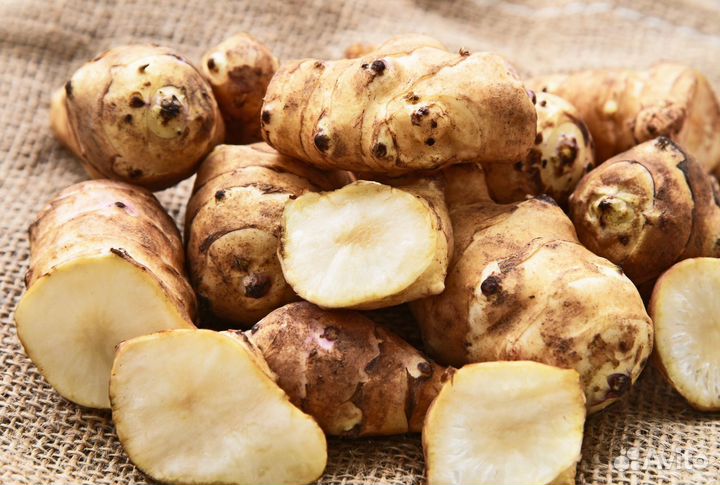 Топинамбур