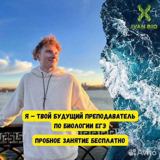 Репетитор по биологии огэ и егэ онлайн