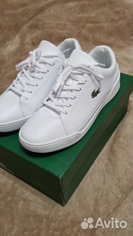 Кеды lacoste новые белые купить в Санкт-Петербурге | Личные вещи | Авито
