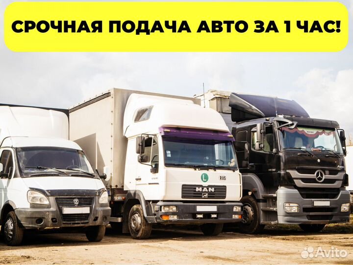 Грузоперевозки газель, реф, тент, шаланда