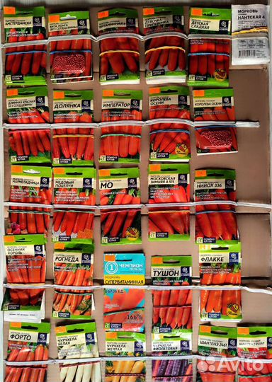 Семена Алтая в Троицке