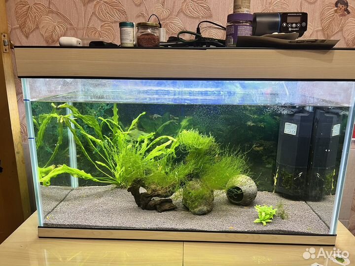 Аквариум 130 литров