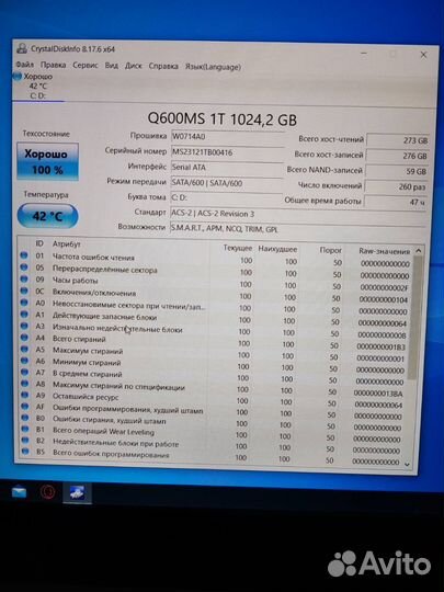 2024 год/celeron n5095/16DDR4/1024 SSD