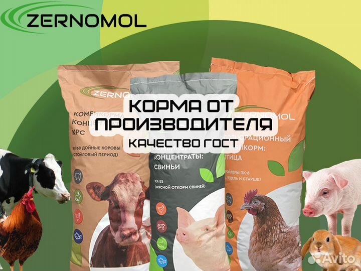 Продажа комбикорма пшеница ячмень