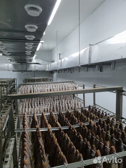 Камеры сушки и вяления рыбы (вялка) В наличии