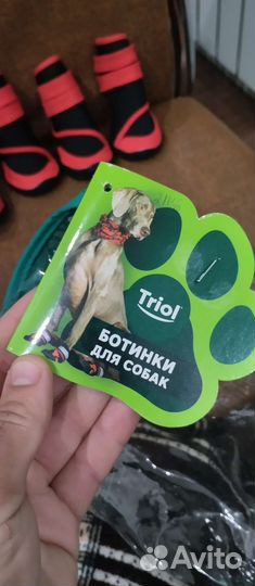 Обувь для собак