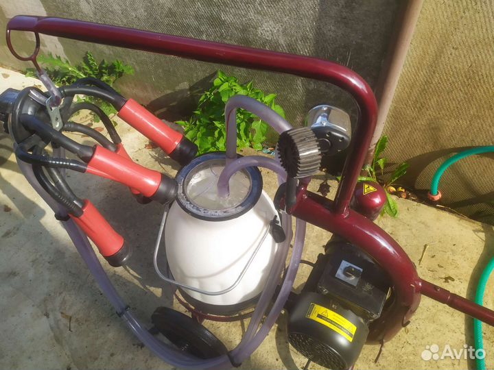 Доильный аппарат для коров бу