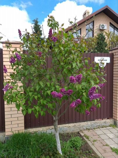 Дом 130 м² на участке 15 сот.