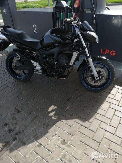 Yamaha fz6n