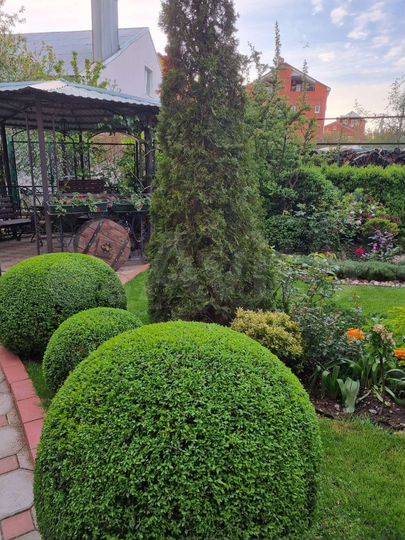 Комната 20 м² в 1-к., 2/3 эт.