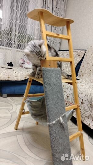 Когтеточка для кошек высокая с игровым комплексом