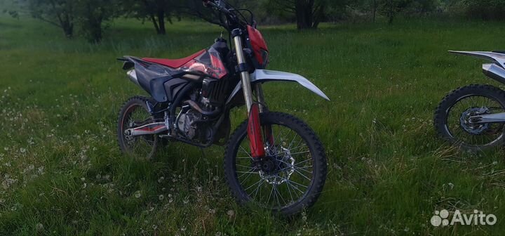 Gr 2 300 pro