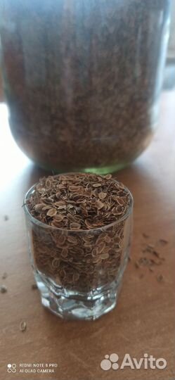 Укроп, кинза, петрушка- семена