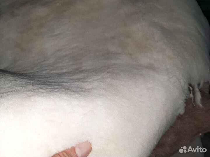 Шкурки овечьи мутоновые