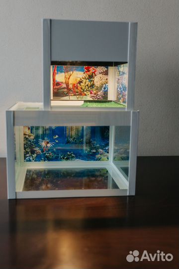 Террариум для красноухой черепахи