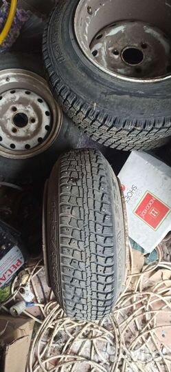 Разварки ока