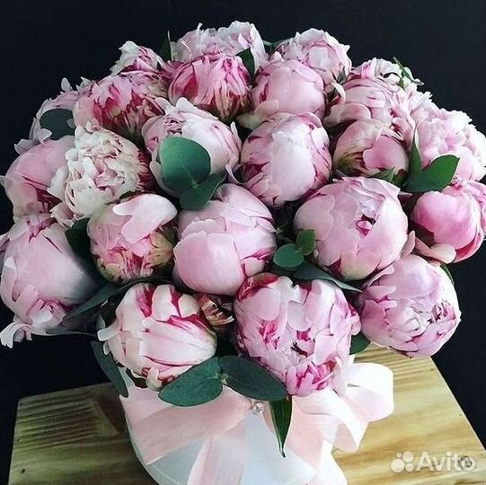 Пионы Букет